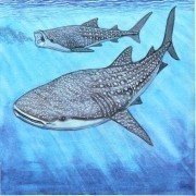 Удивительные рыбы