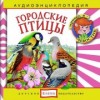 Городские птицы