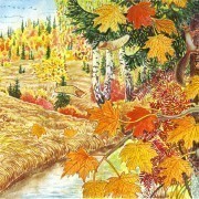 Календарь природы